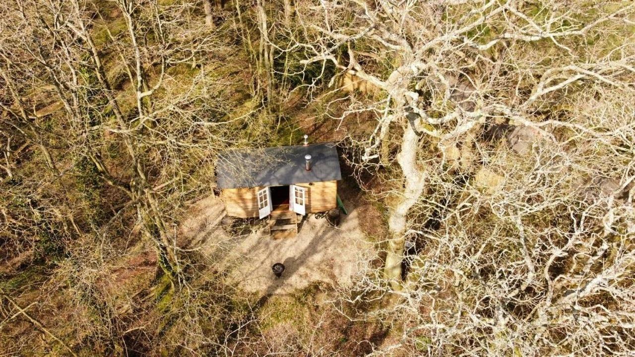 Bluebell Shepherds Hut Rolvenden Екстер'єр фото
